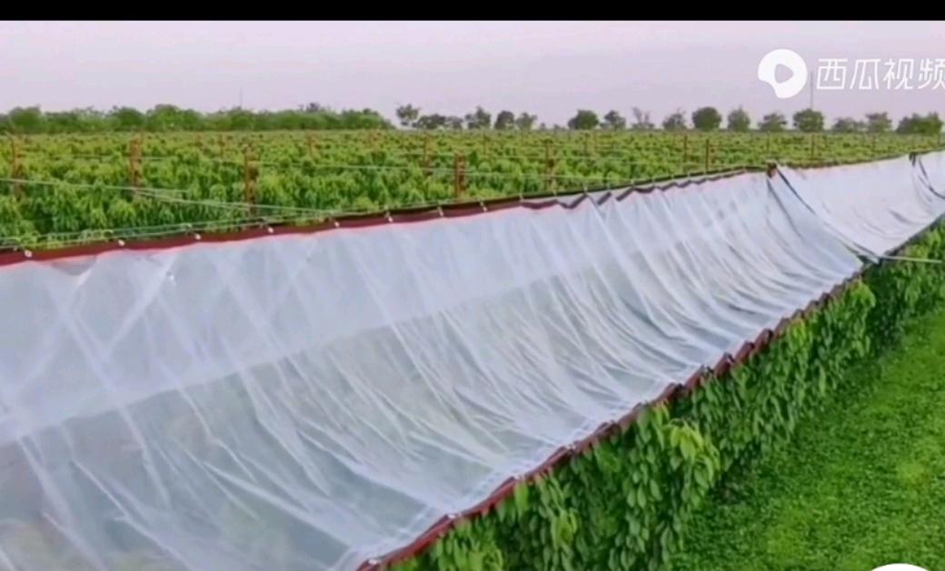 1683709409511_mmexport1656398356485