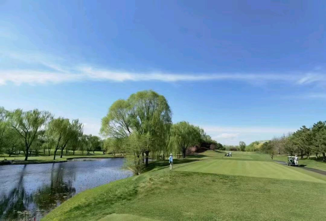 1763970009622_mmexport1762243449077