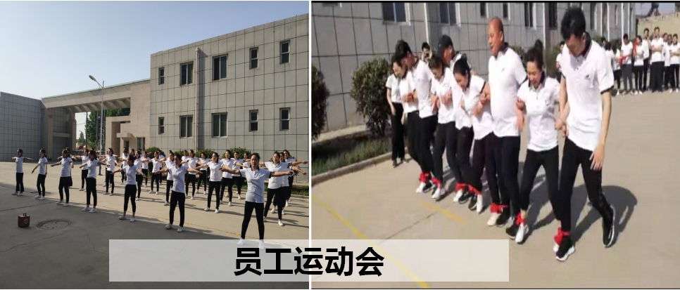 员工运动会.png