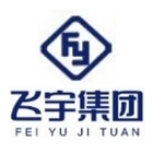 飞宇集团
